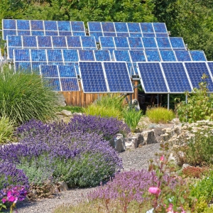 Blick in den Garten und auf Solarpanels