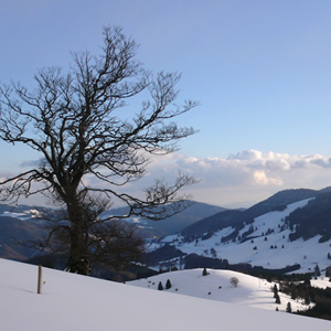 Winterlandschaft Südschwarzwald